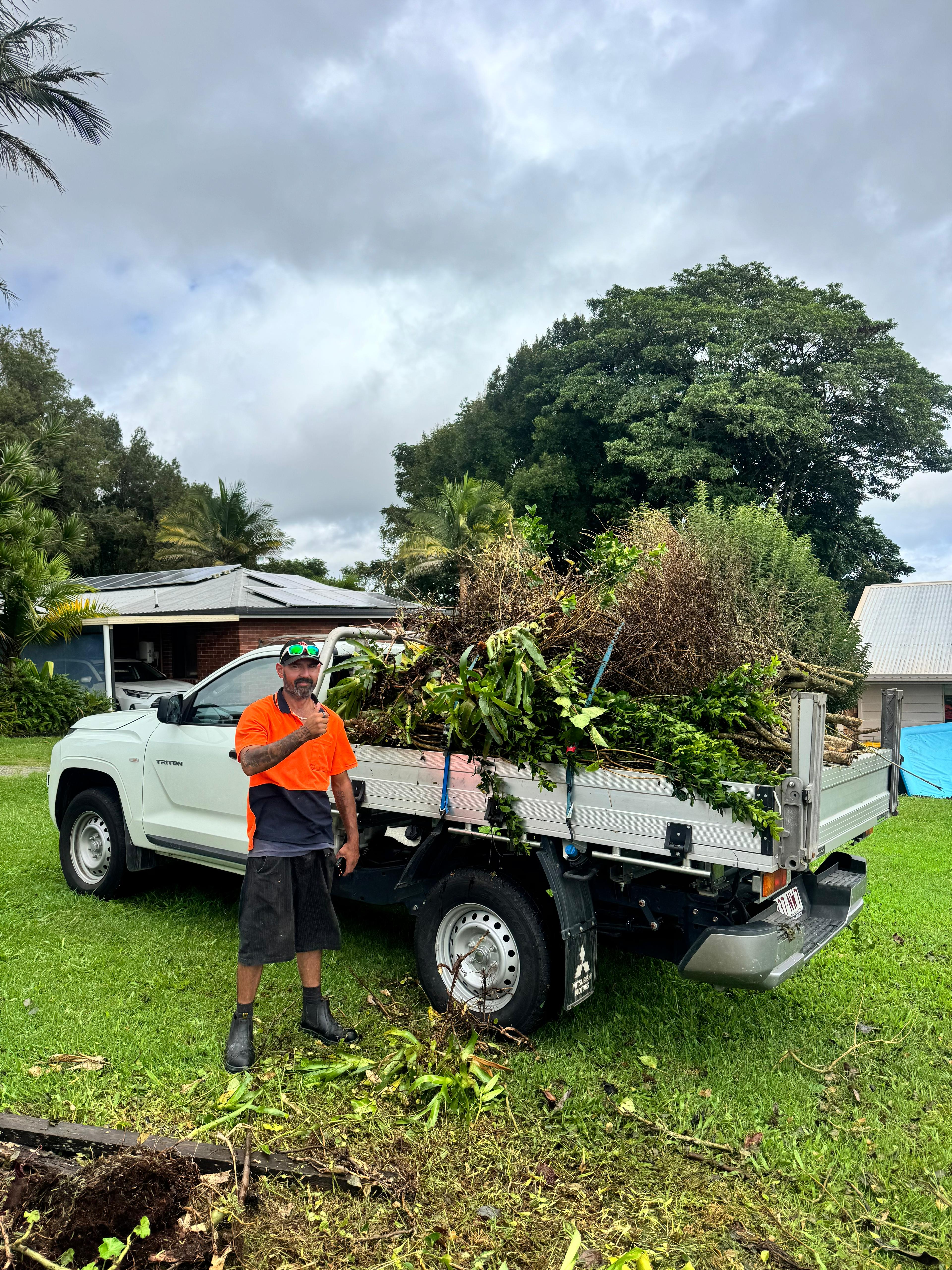 Green waste removal — palm fronds